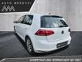 Volkswagen Golf 1.4 TSI DSG Cup/Navi/Bi-Xenon/PDC/SIHZ Weiß - thumbnail 7