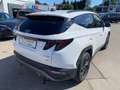 Hyundai TUCSON 1,6 CRDI 4WD 48V Trend Line Plus DCT Weiß - thumbnail 5