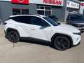 Hyundai TUCSON 1,6 CRDI 4WD 48V Trend Line Plus DCT Weiß - thumbnail 4