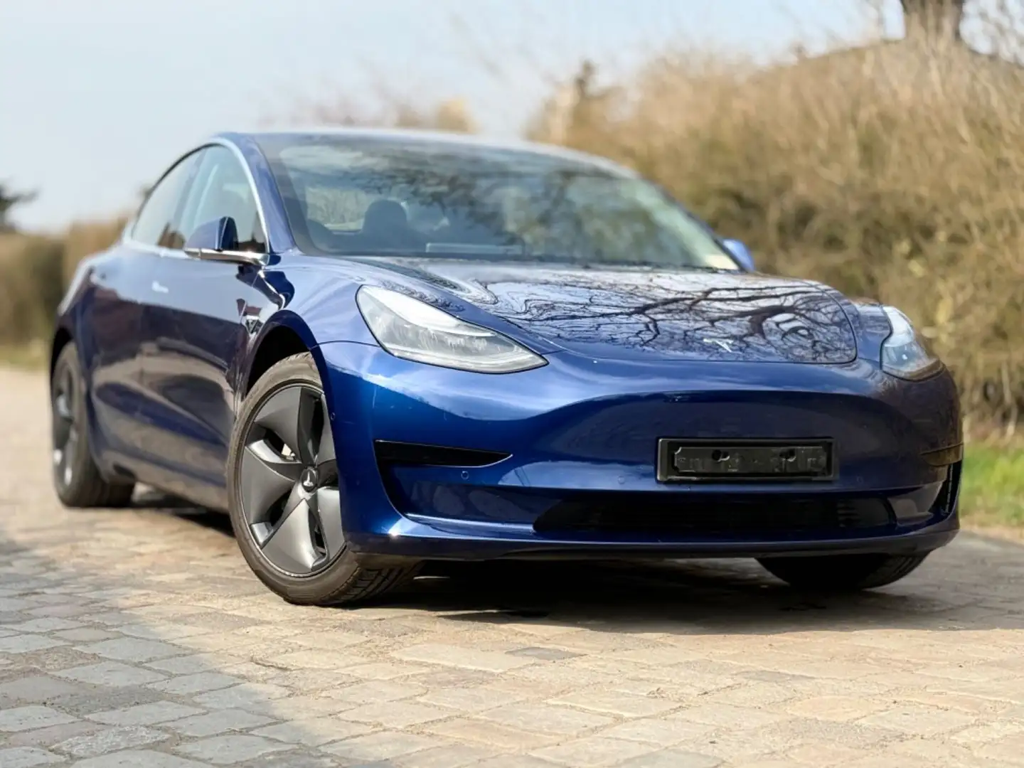 Tesla Model 3 Standard Range Plus RWD*1ERH*LED*ACC* Blau - 1