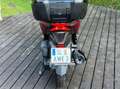 Honda Forza 125 WICHTIG.: nur 1.816Km Red - thumbnail 12