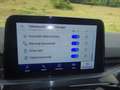 Ford Kuga Plug-In Hybrid ST-Line X AHK Schiebedach Schwarz - thumbnail 18