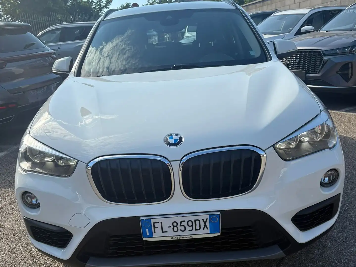 BMW X1 X1 F48 sdrive16d Advantage Bianco - 2