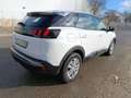Peugeot 3008 1.5BlueHDi Active S&S 130 Blanco - thumbnail 8