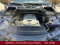 BMW X3 3.0d | Automatik | AHK abnehmbar Beige - thumbnail 15