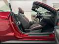 Ford Mustang Eco 2.3 Cabrio/MACH1 Kit/Android/Leder/ Rot - thumbnail 17