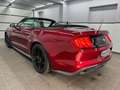 Ford Mustang Eco 2.3 Cabrio/MACH1 Kit/Android/Leder/ Rot - thumbnail 13