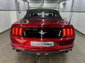 Ford Mustang Eco 2.3 Cabrio/MACH1 Kit/Android/Leder/ Rot - thumbnail 8