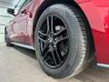 Ford Mustang Eco 2.3 Cabrio/MACH1 Kit/Android/Leder/ Rot - thumbnail 16