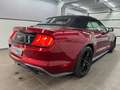 Ford Mustang Eco 2.3 Cabrio/MACH1 Kit/Android/Leder/ Rot - thumbnail 7
