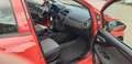 Fiat Punto /LPG - thumbnail 13