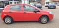 Fiat Punto /LPG - thumbnail 4