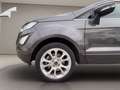 Ford EcoSport 1.0 ecoboost Titanium s&s 125cv my20.25 Grijs - thumbnail 15