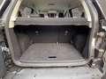 Ford EcoSport 1.0 ecoboost Titanium s&s 125cv my20.25 Grijs - thumbnail 10