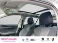 Skoda Octavia Combi Ambition 4x4 2.0 TDI DSG AHK Pano Navi Digit Weiß - thumbnail 16