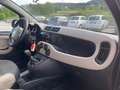 Fiat Panda 4x4 1.3 mjt 16v 4x4 75cv Verde - thumbnail 13