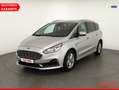 Ford S-Max S-MAX 2.0 EcoBlue Aut. Titanium Navi Sitzheizung Silber - thumbnail 1