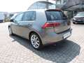 Volkswagen Golf Golf Business 1.6 TDI Blue DSG 5p. Highline Grigio - thumbnail 6