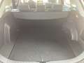 Toyota RAV 4 RAV4 2,5 Hybrid Active AWD Grau - thumbnail 12
