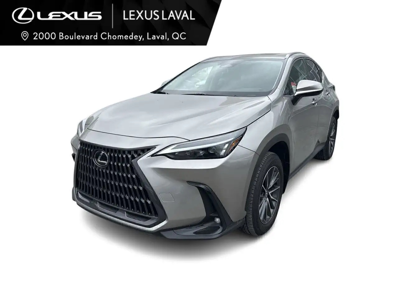 2025 Lexus NX