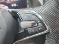 Skoda Superb 4x4 SPORTLINE TDI DSG Gold - thumbnail 14