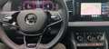 Skoda Karoq Karoq 2.0 TDI 4x4 DSG Sportline Schwarz - thumbnail 4