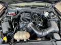 Ford Mustang V6 3.7 307 HP cambio manuale KM. 85.000 Nero - thumbnail 12