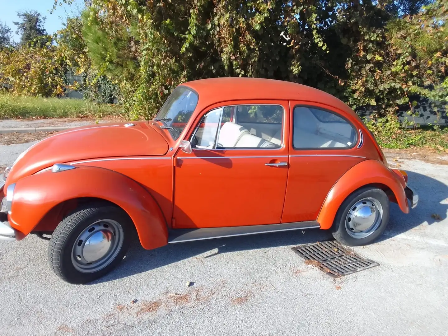 Volkswagen Maggiolino Maggiolino 1.2 L (messico) Oranje - 2