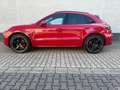Porsche Macan GTS/PANO/BOSE/360°/ACC/Approved Rouge - thumbnail 5