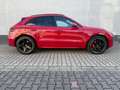 Porsche Macan GTS/PANO/BOSE/360°/ACC/Approved Rouge - thumbnail 2