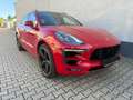 Porsche Macan GTS/PANO/BOSE/360°/ACC/Approved Rouge - thumbnail 1
