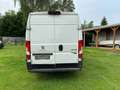 Peugeot Boxer Kasten Hoch 435 L4H2-KLIMA+TEMPOMAT+KAMERA Weiß - thumbnail 2