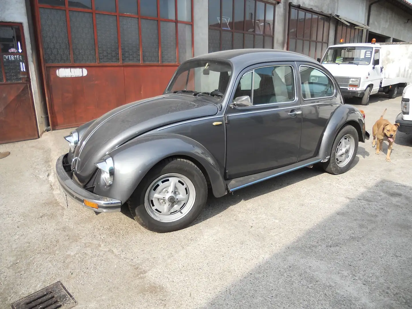 Volkswagen Maggiolino Maggiolino 1.2 L Serie Giubileo Grau - 1