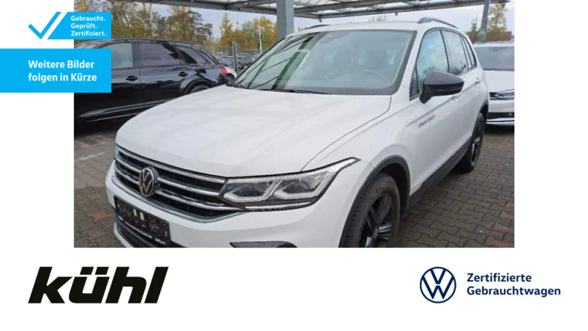 Volkswagen Tiguan 1.5 TSI DSG Life IQ.Light/ACC/Standhzg./K Weiß - 1