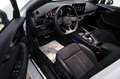 Audi S4 Avant 3.0 TDI quattro TLeder,Navi,LED,PanDach Blanc - thumbnail 12