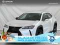 Lexus UX 250h 2WD PREMIUM Blanc - thumbnail 1