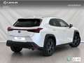 Lexus UX 250h 2WD PREMIUM Blanc - thumbnail 4