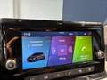 SEAT Ibiza Reference Edition 1.0 80PS Blau - thumbnail 11