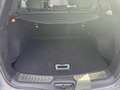 Renault Koleos Initiale X-Tronic dCi 175 4WD Grau - thumbnail 11