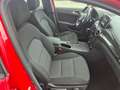 Mercedes-Benz B 180 B 180 CDI ,  Edition Sports Tourer Rot - thumbnail 11
