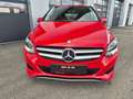 Mercedes-Benz B 180 B 180 CDI ,  Edition Sports Tourer Rot - thumbnail 3