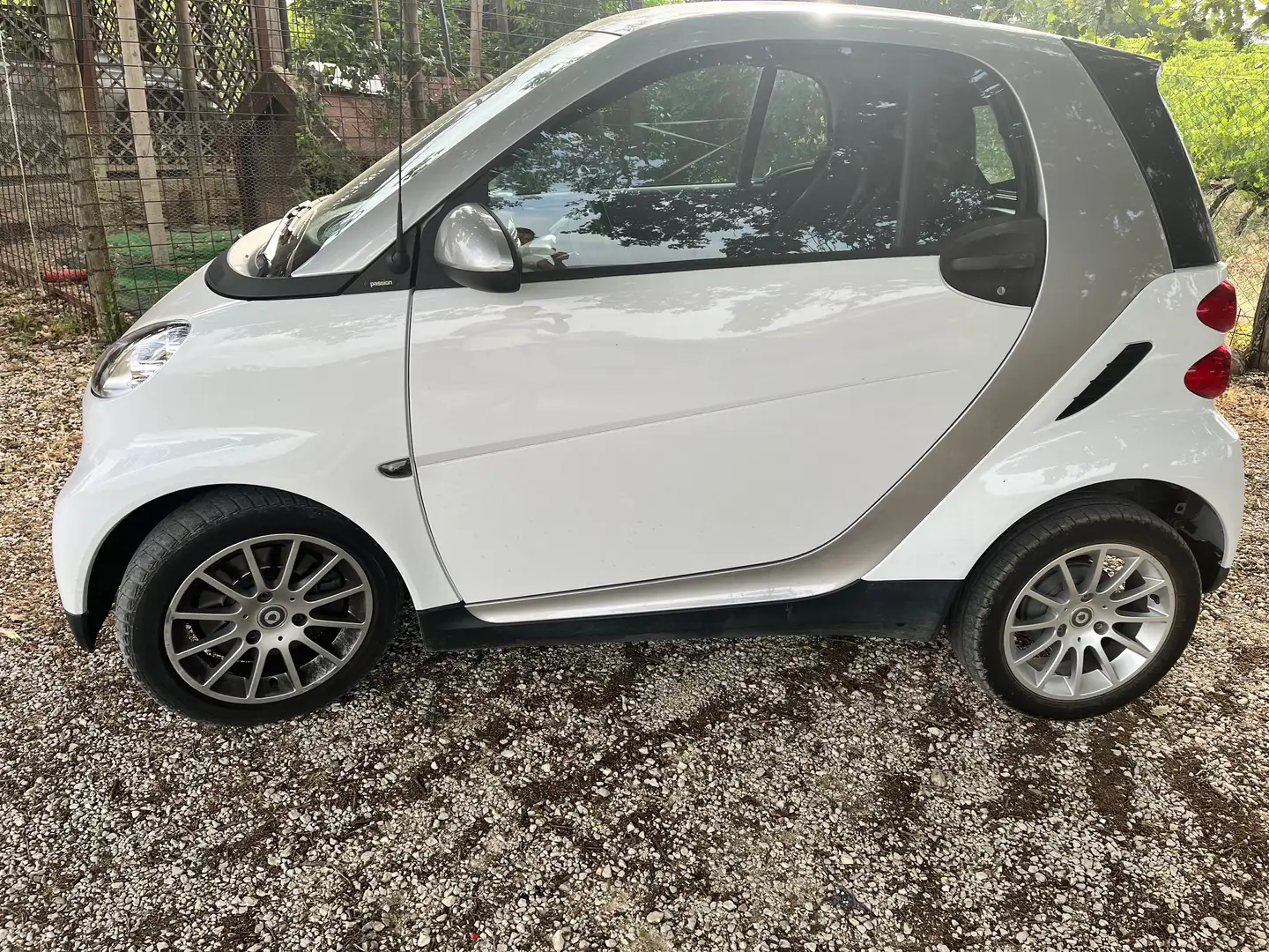 smart forTwo Fortwo 1.0 Passion 71cv Bianco - 2