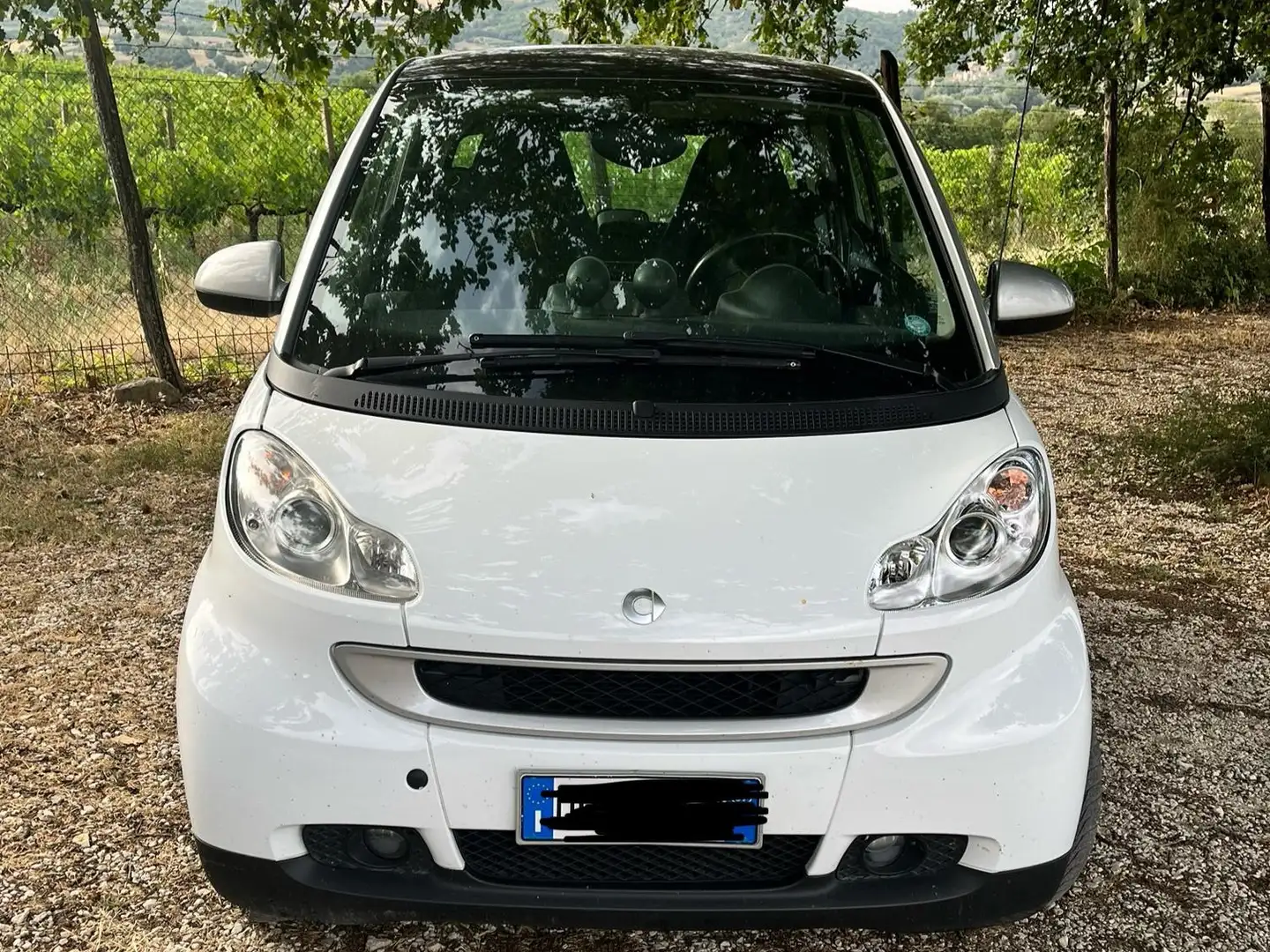 smart forTwo Fortwo 1.0 Passion 71cv Bianco - 1