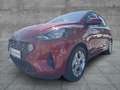 Hyundai i10 1.0 Trend (EURO 6d) Klima Einparkhilfe Rouge - thumbnail 6