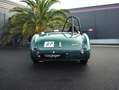 Austin-Healey 100 /4 BN1 FIA Grün - thumbnail 10