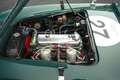 Austin-Healey 100 /4 BN1 FIA Grün - thumbnail 4