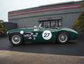 Austin-Healey 100 /4 BN1 FIA Grün - thumbnail 7