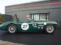 Austin-Healey 100 /4 BN1 FIA Grün - thumbnail 8