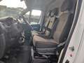 Peugeot Boxer Kasten Hochraum 335 L2H2 Premium BlueHDi 1 Weiß - thumbnail 22