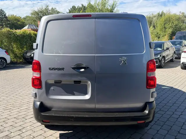Peugeot Expert view 8